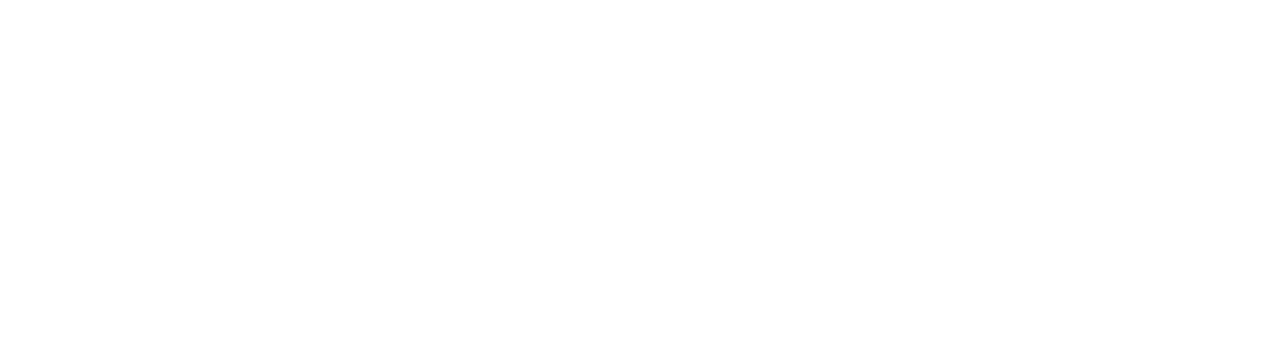 SLG-logo-white