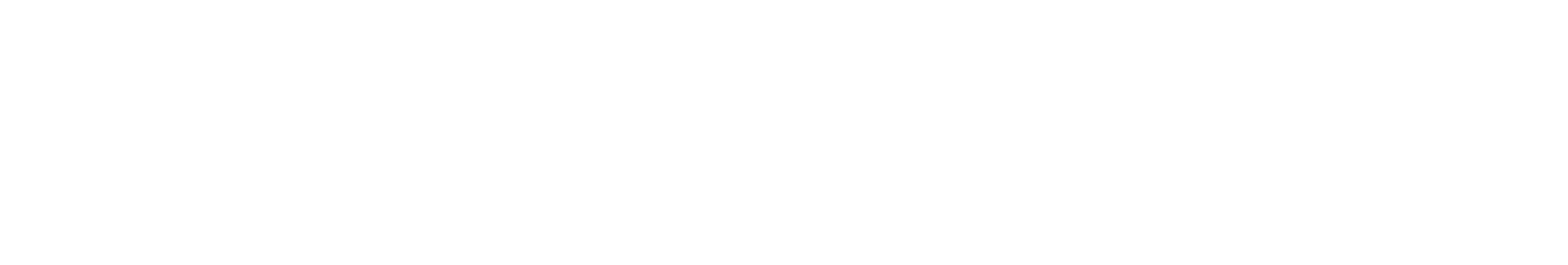 secondary-logo-white